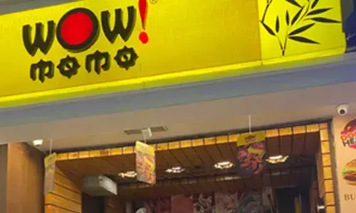 Wow! Momo reports Rs 114 crore loss in FY24, rising costs eat into profits