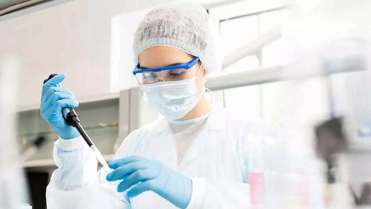 Scientists develop method to measure crucial gene activity in brain Scientists develop method to measure crucial gene activity in brain