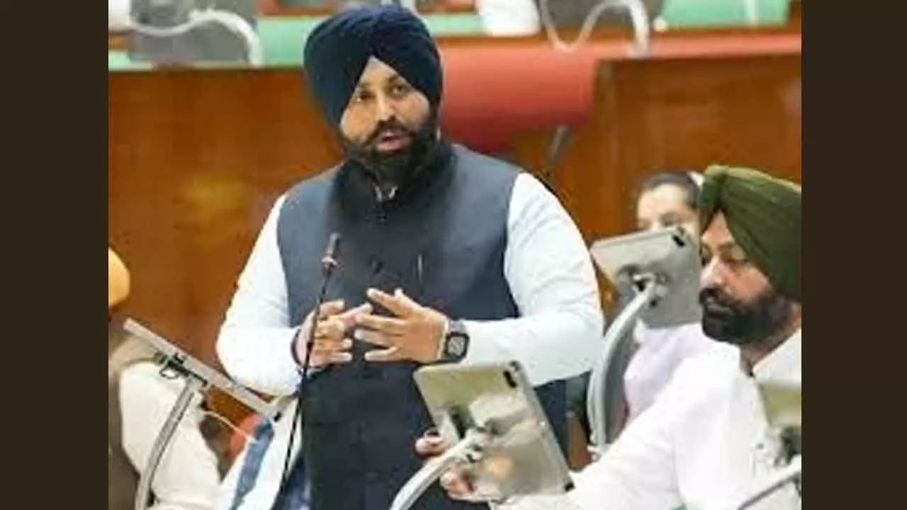 CBSE: Punjabi language not removed from board exam CBSE: Punjabi language not removed from board exam