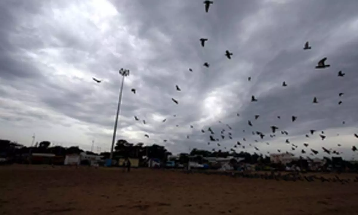 Heavy rain alert for TNs Delta districts, Collectors asked to take precautions