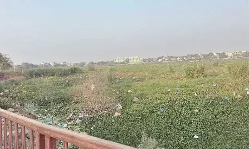 Residents raise stink over rampant dumping of trash in RK Puram Lake