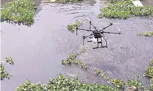 VMC uses drones to check mosquito menace