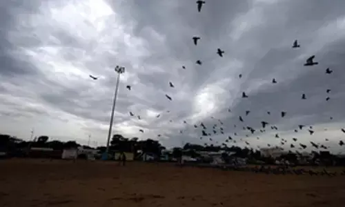 Heavy rain alert for TNs Delta districts, Collectors asked to take precautions