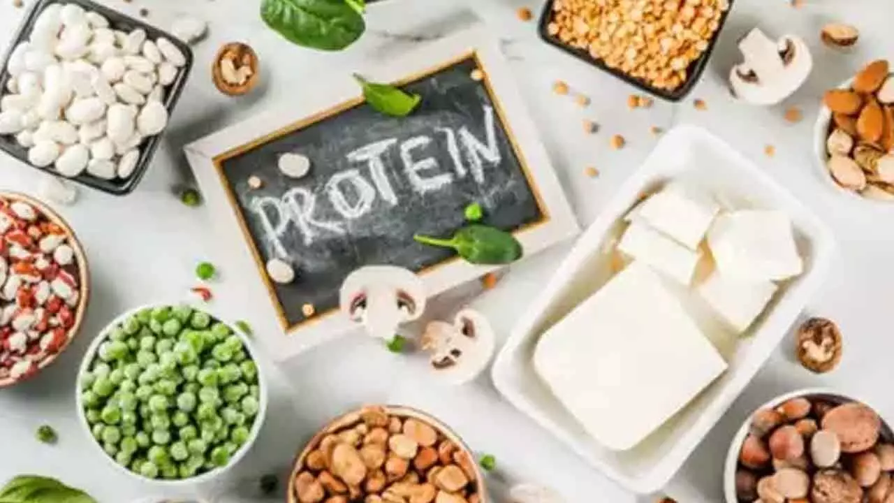 World Protein Day 2025: Top 4 Tips to Build and Maintain Muscle Effectively World Protein Day 2025: Top 4 Tips to Build and Maintain Muscle Effectively