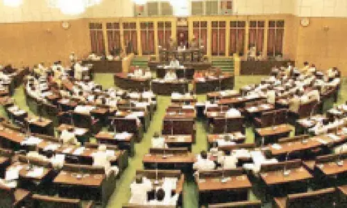 AP budget today to focus on P4 scheme