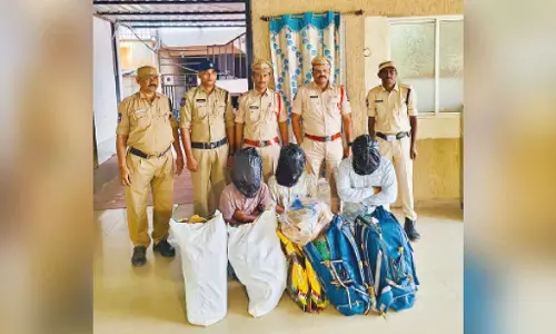 Hyderabad: Cops arrest 3, ganja worth Rs 18 lakh seized