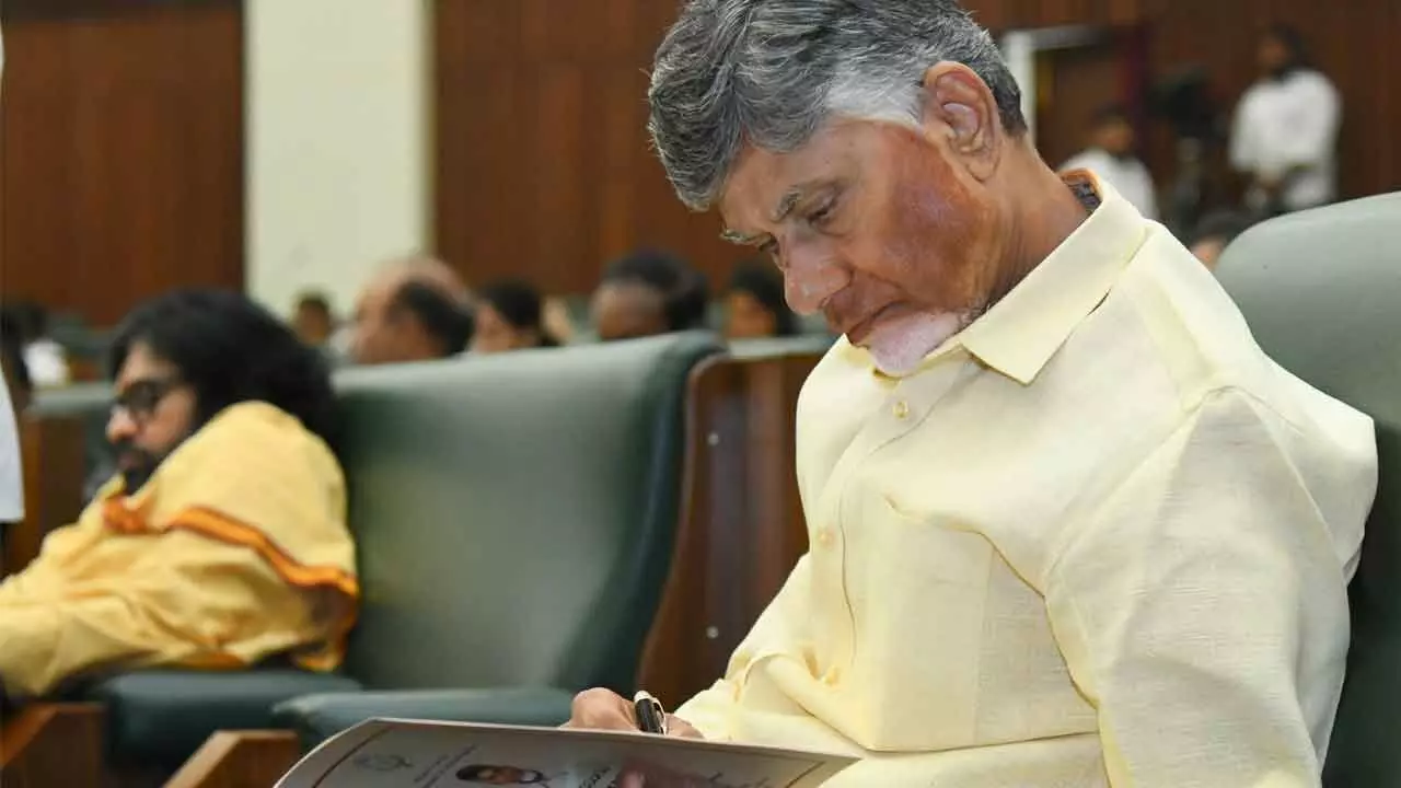 Budget lays foundation for reconstruction of AP: Naidu