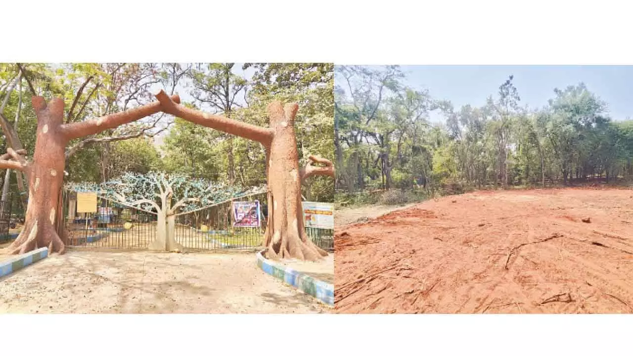 Nature or Recreation? Growing debate over Nagaravanam’s future