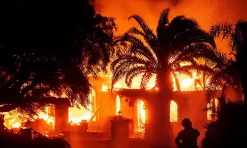 Climate-driven wildfires on the rise; Calls for more prevention efforts