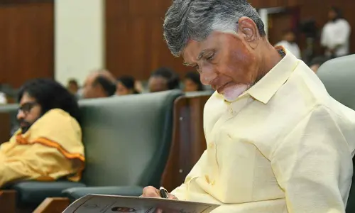 Budget lays foundation for reconstruction of AP: Naidu