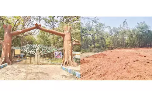 Nature or Recreation? Growing debate over Nagaravanam’s future