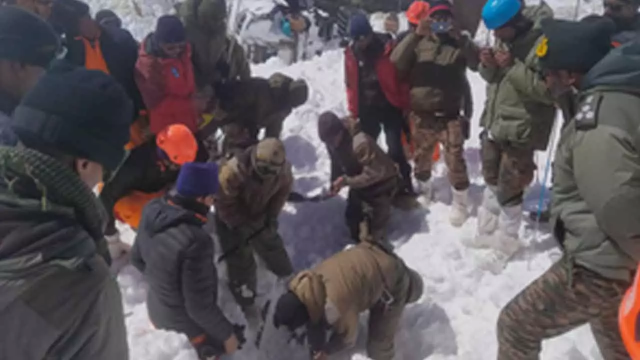 Chamoli avalanche: Last missing workers body found, toll rises to 8, rescue mission comes to an end Chamoli avalanche: Last missing workers body found, toll rises to 8, rescue mission comes to an end