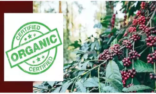 Araku Coffee gets organic tag, ready to enter European market