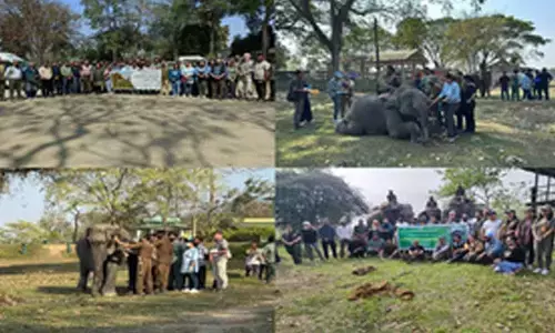 International Elephant Health Care Workshop held in Kaziranga
