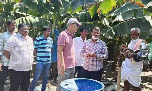 European firm representative visits Anantapur for banana exports