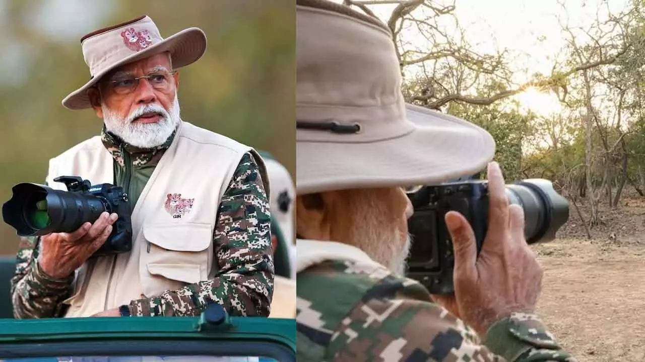 Modi goes on lion safari at Gir Modi goes on lion safari at Gir