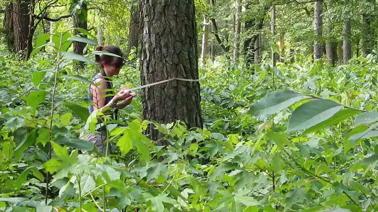 Hyderabad: City braces for HAT Biodiversity Survey