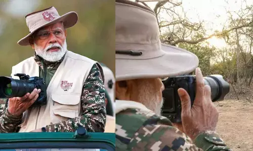 Modi goes on lion safari at Gir