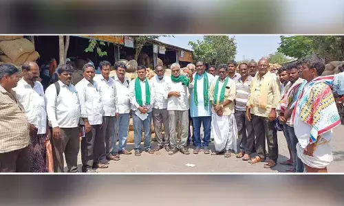 Demand to purchase red chilli at Rs. 20 K per quintal