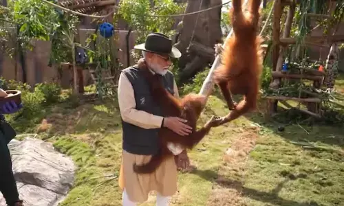 PM Modi Inaugurates Vantara: A Milestone in Animal Rescue and Conservation Efforts