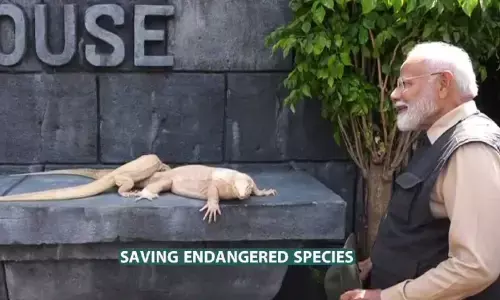 PM Modi inaugurates Wildlife rescue rehabilitation in Gujarat