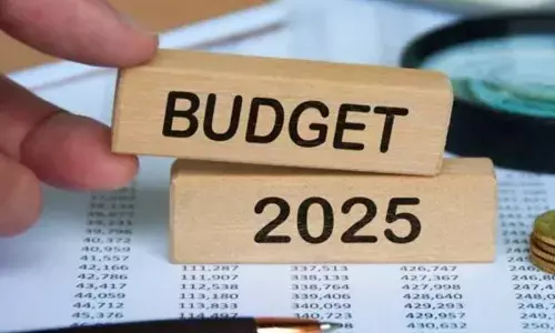 Minority Associations and Activists Welcome Enhanced Budget, Urged to Ensure Effective Utilization