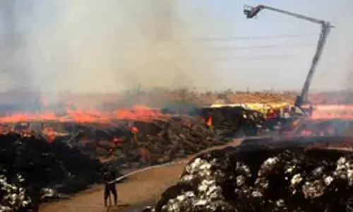 Climate change to lead to more city fires: Researchers