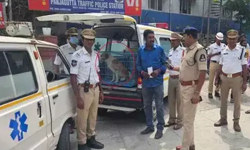 Dog found in siren-blaring ambulance; cops book case against driver