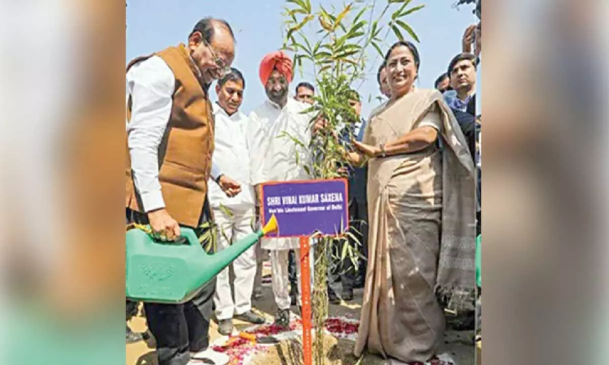 LG, CM kick off plantation drive at Bhalswa landfill site LG, CM kick off plantation drive at Bhalswa landfill site