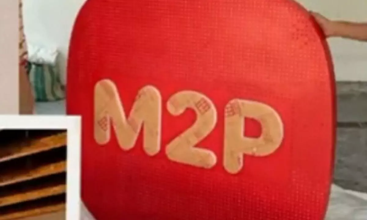 M2P Fintechs revenue tanks 13 pc in FY24, losses hold above Rs 133 crore M2P Fintechs revenue tanks 13 pc in FY24, losses hold above Rs 133 crore