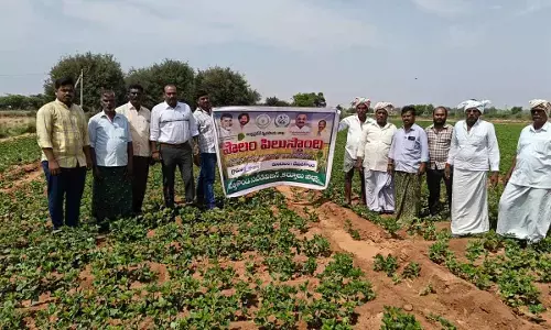 Polambadi programme held at Devanakonda