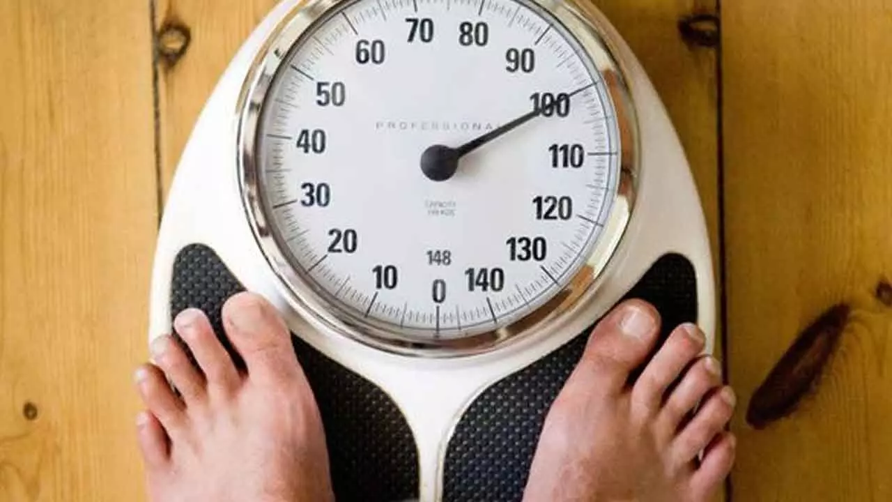 How brain plays central role in development of obesity How brain plays central role in development of obesity