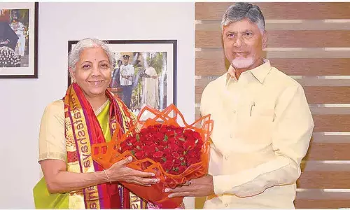 Naidu urges FM to lift AP from economic dump