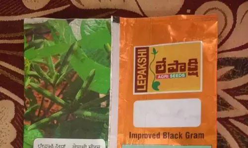 Fake seeds leave farmers in distress