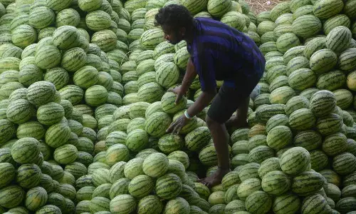 Soaring fruit prices in Hyd pinch pockets this Ramzan