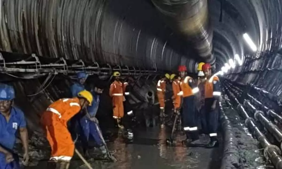 Cadaver dogs on hunt to detect trapped humans Cadaver dogs on hunt to detect trapped humans