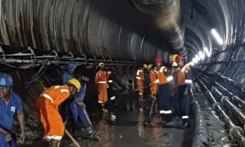 Cadaver dogs on hunt to detect trapped humans