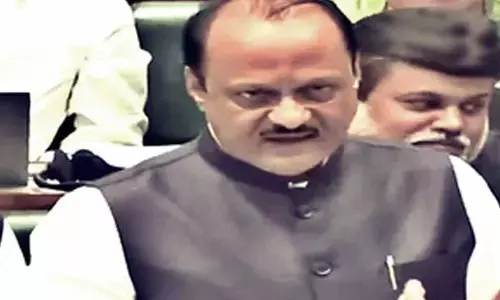 Maha eco survey projects growth at 7.3 pc in FY 25; industry, service sectors show dip