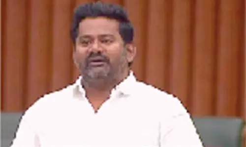 MLA seeks steps to control seasonal diseases