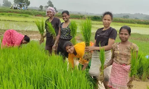 Women Farmers Strengthen Rural Economies with Increased Participation and Leadership