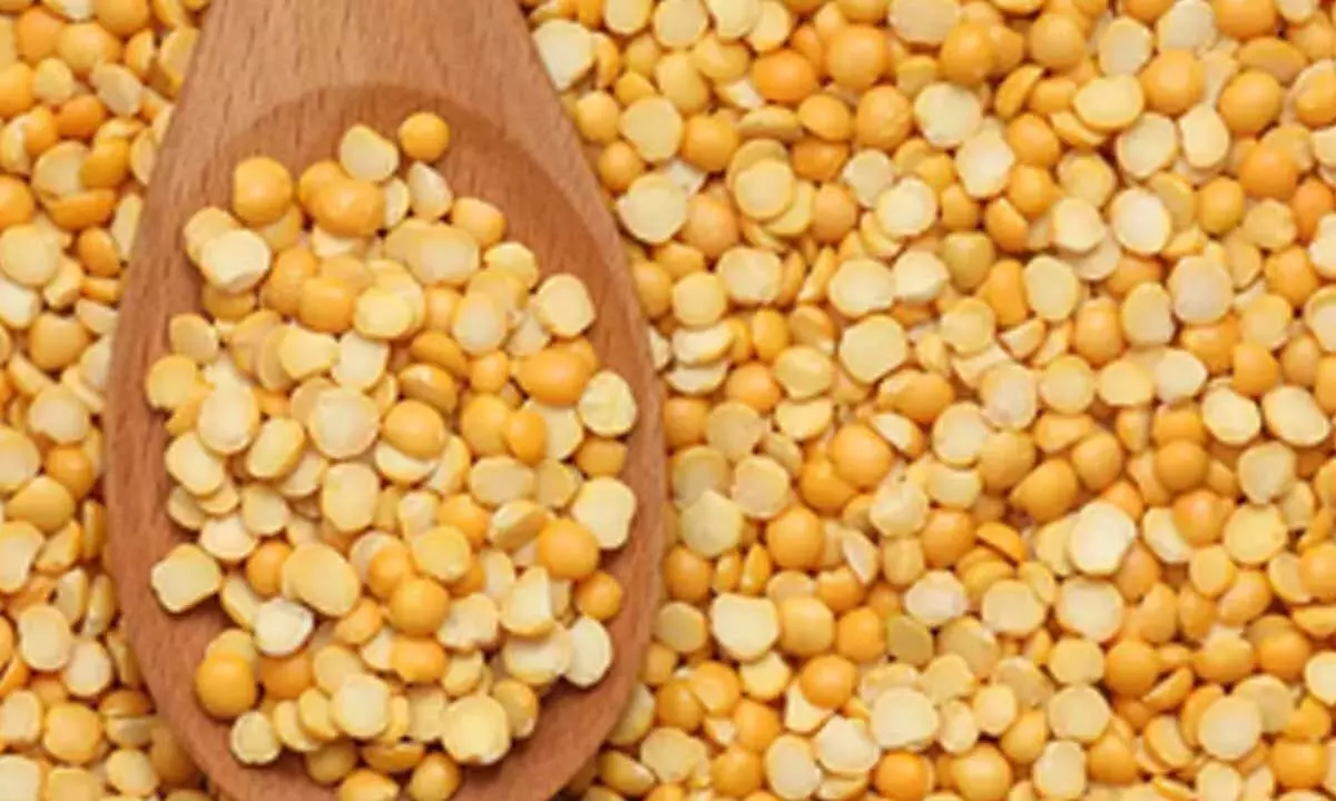 Govt extends duty-free import of yellow peas to keep inflation in check Govt extends duty-free import of yellow peas to keep inflation in check