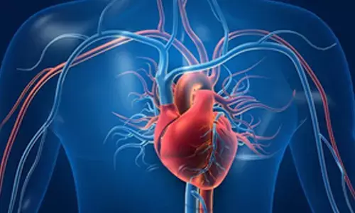 Breakthrough research offers hope for treatment of ischemic heart failure