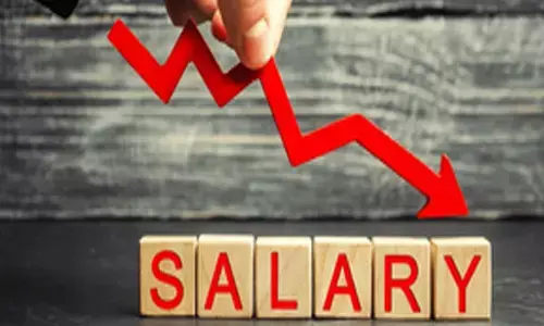 Startup founders’ salaries drop over 25 pc in India in FY24: Report