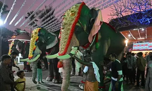 Kerala Temples Replace Real Elephants with Robotic Versions to Promote Cruelty-Free Traditions