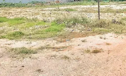 Biodiversity at Risk: Nature Enthusiasts Oppose Kancha Gachibowli Land Auction