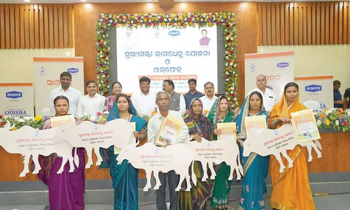 OMFED move to boost milk output in Ganjam