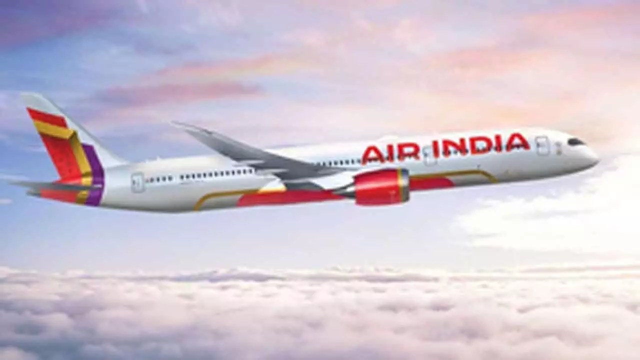 Air Indias New York-bound plane returns to Mumbai 8 hours after take-off, threat turns out to be hoax Air Indias New York-bound plane returns to Mumbai 8 hours after take-off, threat turns out to be hoax