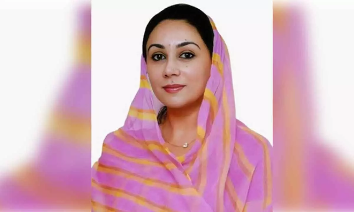 Our focus is to promote concert tourism: Rajasthan Dy CM