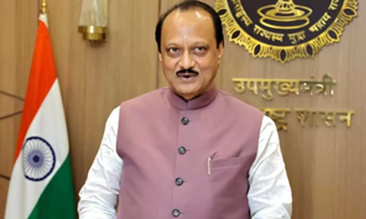 Maha Budget: Rs 36,000 crore for Ladki Bahin Yojana; various taxes proposed to generate additional revenue Maha Budget: Rs 36,000 crore for Ladki Bahin Yojana; various taxes proposed to generate additional revenue