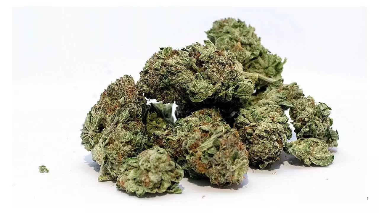 Chittoor Police Nab Ganja Peddler, Seize 8 kg of Contraband Chittoor Police Nab Ganja Peddler, Seize 8 kg of Contraband